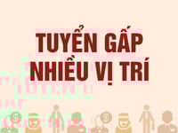 Cần tuyển gấp nhân viên Tạp Vụ - Giám Sát ngành vệ sinh công nghiệp Cần tuyển gấp nhân viên Tạp Vụ - Giám Sát ngành vệ sinh công nghiệp