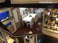 Nhà Mặt Tiền 162 Trần Thị Cờ .Q12 1 trệt 3 lầu 4x21m Giá 6.330tỷ Nhà Mặt Tiền 162 Trần Thị Cờ .Q12 1 trệt 3 lầu 4x21m Giá 6.330tỷ