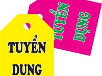Cần tuyển 02 nhân viên kế toán. Cần tuyển 02 nhân viên kế toán.