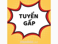 Cần tuyển nhân viên kế toán, thu nhân Cần tuyển nhân viên kế toán, thu nhân