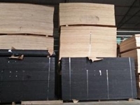 Ván đen chịu nước - Cốp pha phủ phim đen giá rẻ Ván đen chịu nước - Cốp pha phủ phim đen giá rẻ