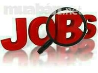 Tuyển nhân viên kinh doanh cho công ty Tuyển nhân viên kinh doanh cho công ty