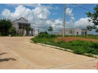 Tôi chính chủ cần tiền sang gấp 300m2 thổ cư 100%, tôi bao sang tên Tôi chính chủ cần tiền sang gấp 300m2 thổ cư 100%, tôi bao sang tên
