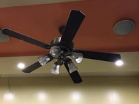 Siêu hiếm, biệt thự nhỏ Hoàng Hoa Thám chỉ 90 triêu/m2 Siêu hiếm, biệt thự nhỏ Hoàng Hoa Thám chỉ 90 triêu/m2
