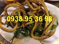 Cần mua cá sùn sịn, giá bán cá sùn sịn, cung cấp cá sùn sịn giá rẻ Cần mua cá sùn sịn, giá bán cá sùn sịn, cung cấp cá sùn sịn giá rẻ