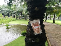 Cửa hàng bán mứt dừa sấy giòn, mứt dừa sấy khô Cửa hàng bán mứt dừa sấy giòn, mứt dừa sấy khô