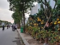 Cho thuê mặt tiền đường An Dương Vương, Q6 Cho thuê mặt tiền đường An Dương Vương, Q6