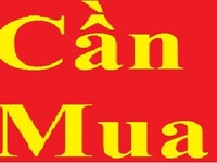 Cần mua gấp nhiều nhà mặt tiền diện tìch lớn tại q1 Cần mua gấp nhiều nhà mặt tiền diện tìch lớn tại q1