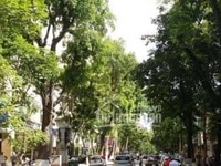 Bán Biệt Thự cổ Tràng Thi 545m2x 3, Mặt tiền 16.8m, vị trí đẹp, BT cổ. Bán Biệt Thự cổ Tràng Thi 545m2x 3, Mặt tiền 16.8m, vị trí đẹp, BT cổ.