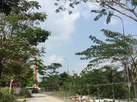 Cần tiền bán gấp lô đất làng đại học khu B, Nhà Bè, 5x20, giá 54 triệu Cần tiền bán gấp lô đất làng đại học khu B, Nhà Bè, 5x20, giá 54 triệu