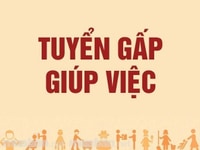 Gia đình tôi cần tuyển gấp một cô giúp việc chăm bé Gia đình tôi cần tuyển gấp một cô giúp việc chăm bé