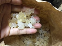 Mủ trôm thiên nhiên - đặc sản Phan Rang Mủ trôm thiên nhiên - đặc sản Phan Rang