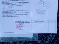 Cần Tiền nên bán gấp lô đất 224/m2 ở Bình lợi Cần Tiền nên bán gấp lô đất 224/m2 ở Bình lợi