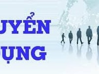 Đại lí phân phối hàng việt nam cần nhân viên bán hàng Đại lí phân phối hàng việt nam cần nhân viên bán hàng