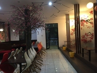 Cho thuê nhà mặt tiền gần đại lộ hòa bình, 1 trệt 2 lầu, nhà mới Cho thuê nhà mặt tiền gần đại lộ hòa bình, 1 trệt 2 lầu, nhà mới