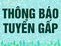 Cần tuyển gấp 02 Nam, Nữ phụ trông coi cửa hàng Cần tuyển gấp 02 Nam, Nữ phụ trông coi cửa hàng