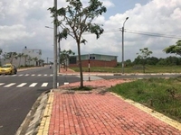 2800m2 đất Đinh Đức Thiện, SHR, giá rẻ 6ty6, XDTD 2800m2 đất Đinh Đức Thiện, SHR, giá rẻ 6ty6, XDTD
