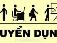 Cần tuyển gấp nhân nữ thu ngân Cần tuyển gấp nhân nữ thu ngân