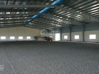 Cho thuê nhà xưởng 4300 m2 trong KCN Nhơn trạch 1, Đồng nai Cho thuê nhà xưởng 4300 m2 trong KCN Nhơn trạch 1, Đồng nai
