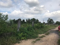 Chính chủ bán rẻ 14.645m2 đất vườn trồng cây lâu năm Hóc Môn Chính chủ bán rẻ 14.645m2 đất vườn trồng cây lâu năm Hóc Môn