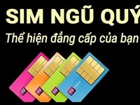 Bán Sim Số Đẹp Cực Víp Tứ Qúy - Ngũ Qúy Đẳng Cấp Siêu Rẻ Bán Sim Số Đẹp Cực Víp Tứ Qúy - Ngũ Qúy Đẳng Cấp Siêu Rẻ