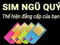 Bán Sim Tứ Qúy - Ngũ Qúy Vi Na - Viettel - Mobi - Rẻ Nhất Vịnh Bắc Bộ Bán Sim Tứ Qúy - Ngũ Qúy Vi Na - Viettel - Mobi - Rẻ Nhất Vịnh Bắc Bộ