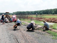 Bán đất Long đức ngay KCN gần chợ An Bình đường Phùng Hưng ngay KCN Bán đất Long đức ngay KCN gần chợ An Bình đường Phùng Hưng ngay KCN