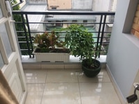 Bán nhà phố đẹp giá rẻ 10x11m ở Phường Thảo Điền giá 13 Tỷ còn thượng Bán nhà phố đẹp giá rẻ 10x11m ở Phường Thảo Điền giá 13 Tỷ còn thượng
