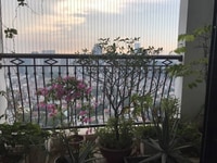 Chỉ 5 tỷ sở hữu ngay căn hộ 131m2 Royal City- Thành Phố Hoàng Gia Chỉ 5 tỷ sở hữu ngay căn hộ 131m2 Royal City- Thành Phố Hoàng Gia