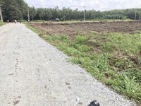 Tôi bán đất để có tiền chữa bệnh , MT QL14 KCN BeCaMex Chơn Thành ,SHR Tôi bán đất để có tiền chữa bệnh , MT QL14 KCN BeCaMex Chơn Thành ,SHR