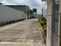 Bán Xưởng 5500m2, đường tỉnh 826, Cần Đước, Long An Bán Xưởng 5500m2, đường tỉnh 826, Cần Đước, Long An