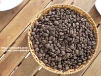 Robusta espresso cung cấp tại Bình Dương Robusta espresso cung cấp tại Bình Dương