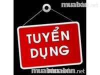 Cần tuyển dụng gấp nhân viên văn phòng Cần tuyển dụng gấp nhân viên văn phòng