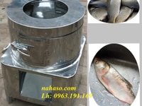 Máy đánh vảy cá, máy làm sạch các loại vảy cá Máy đánh vảy cá, máy làm sạch các loại vảy cá