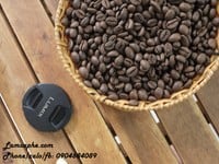 Cafe hạt sạch Robusta nguyên chất giá sỉ ở Thủ Dầu Một, Bình Dương Cafe hạt sạch Robusta nguyên chất giá sỉ ở Thủ Dầu Một, Bình Dương