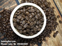 Cafe hạt sạch nguyên chất Buôn Mê Thuột cung cấp giá sỉ tại Bình Dương Cafe hạt sạch nguyên chất Buôn Mê Thuột cung cấp giá sỉ tại Bình Dương