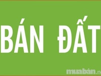 Cần Tiền Bán Gấp Đất Dtich 10.000m2 để đầu tư đất khác Cần Tiền Bán Gấp Đất Dtich 10.000m2 để đầu tư đất khác