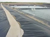 Bạt nhựa HDPE, bạt lót hdpe, màng lót hdpe, màng hdpe chống thấm Rẻ Bạt nhựa HDPE, bạt lót hdpe, màng lót hdpe, màng hdpe chống thấm Rẻ
