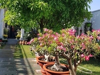 Bán biệt thự MT Lê Đức Thọ, đẹp số 1 Gò Vấp, DT 10x40m Bán biệt thự MT Lê Đức Thọ, đẹp số 1 Gò Vấp, DT 10x40m