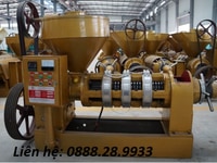 Máy ép dầu lạc công nghiệp công suất lớn Guangxin YZYX 140WK Máy ép dầu lạc công nghiệp công suất lớn Guangxin YZYX 140WK