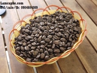 Cà phê hạt sạch giá gốc sản xuất cho các đối tác Sài Gòn Cà phê hạt sạch giá gốc sản xuất cho các đối tác Sài Gòn