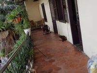 Bán Nhà Mặt Phố Lê Thái Tổ 110m2 KD Vô Đối Giá 17 Tỷ Bán Nhà Mặt Phố Lê Thái Tổ 110m2 KD Vô Đối Giá 17 Tỷ