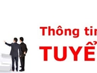 Tuyển Dụng 2 Nhân Viên Văn Phòng Tuyển Dụng 2 Nhân Viên Văn Phòng
