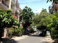 Bán gấp MT đường nội bộ 8m đường D2, 4m x 20m, trệt 3 lầu, nhà mới đẹp Bán gấp MT đường nội bộ 8m đường D2, 4m x 20m, trệt 3 lầu, nhà mới đẹp