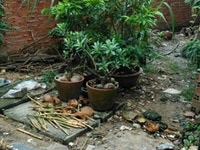 Bán đất đường Nguyễn Thị Sáu, Hóc Môn, 4,2x15, giá 1tỷ050tr Bán đất đường Nguyễn Thị Sáu, Hóc Môn, 4,2x15, giá 1tỷ050tr