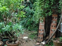 Bán đất đường nguyễn thị sáu, hóc môn (4,2x15m) 1tỷ050tr Bán đất đường nguyễn thị sáu, hóc môn (4,2x15m) 1tỷ050tr