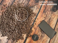Tìm đối tác phân phối cà phê hạt, cà phê robusta tại khu vực Q.Tân Phú Tìm đối tác phân phối cà phê hạt, cà phê robusta tại khu vực Q.Tân Phú