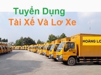 Tuyển Tài Xế Lơ Xe Lương 15tr/ Tháng Phụ Kho 600k/ng Làm Tại Bình Đinh Tuyển Tài Xế Lơ Xe Lương 15tr/ Tháng Phụ Kho 600k/ng Làm Tại Bình Đinh