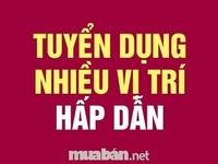 Cần tuyển nhân viên văn phòng hoặc kế toán bán hàng Cần tuyển nhân viên văn phòng hoặc kế toán bán hàng