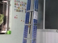 Thanh lý thanh lý thang nhôm,thang inox ,thang rút gọn giá rẻ Thanh lý thanh lý thang nhôm,thang inox ,thang rút gọn giá rẻ